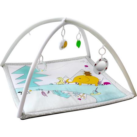 https://www.vanastenbabysuperstore.nl/media/catalog/product/1/3/1302400722_1_speelkleed_tryco_lovely_park.jpg