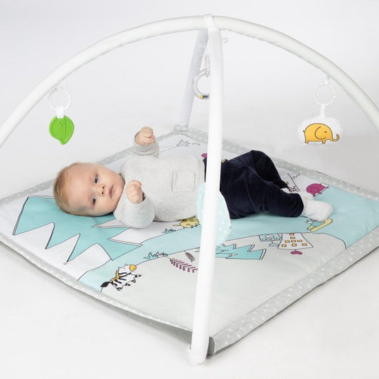 https://www.vanastenbabysuperstore.nl/media/catalog/product/1/3/1302400722_2_speelkleed_tryco_lovely_park.jpg