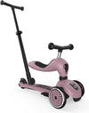 Step Scoot & Ride Highwaykick 1 Push & Go Wildberry
