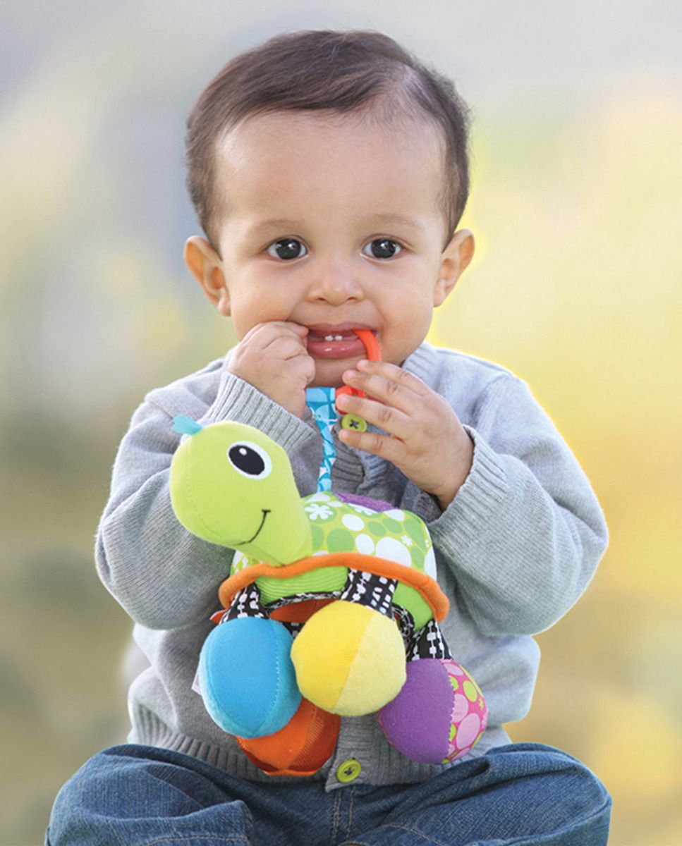 https://www.vanastenbabysuperstore.nl/media/catalog/product/1/3/1302420006_2_mirror_pal_infantino_turtle_green.jpg