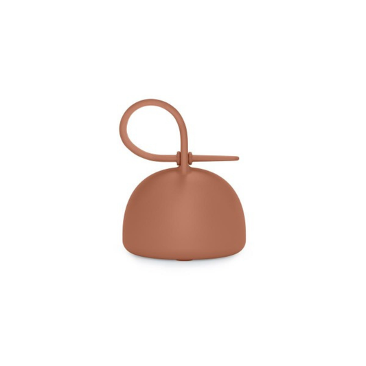 https://www.vanastenbabysuperstore.nl/media/catalog/product/1/3/1302800391_1_speenhouder_suavinex_essence_brick_red.png