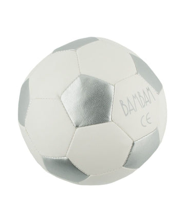 https://www.vanastenbabysuperstore.nl/media/catalog/product/1/3/1352400078_1_bambam_voetbal_zilver.jpg