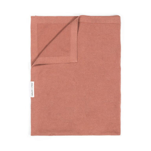 https://www.vanastenbabysuperstore.nl/media/catalog/product/1/4/1441900014_1_deken_wieg_joolz_cloud_soft_desert_rose.jpg