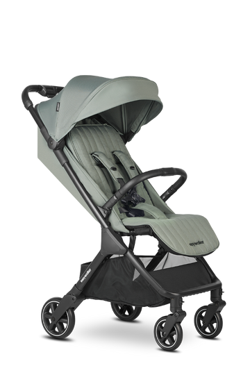 https://www.vanastenbabysuperstore.nl/media/catalog/product/1/6/1691110103_1_buggy_easywalker_jackey2_agave_green.png