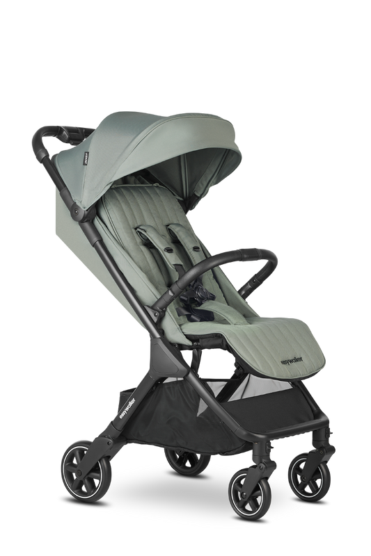 https://www.vanastenbabysuperstore.nl/media/catalog/product/1/6/1691110103_1_buggy_easywalker_jackey2_agave_green.png