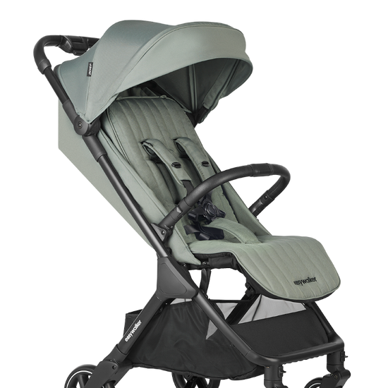 https://www.vanastenbabysuperstore.nl/media/catalog/product/1/6/1691110103_1_buggy_easywalker_jackey2_agave_green.png