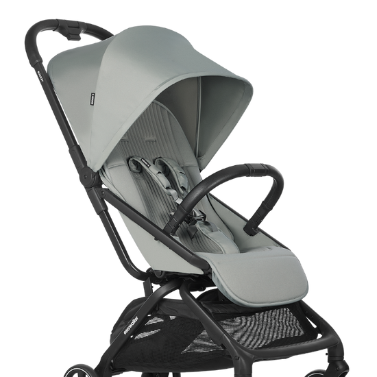 https://www.vanastenbabysuperstore.nl/media/catalog/product/1/6/1691110112_1_buggy_easywalker_rockey_s_fresh_green.png