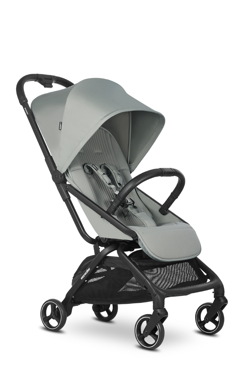 https://www.vanastenbabysuperstore.nl/media/catalog/product/1/6/1691110112_1_buggy_easywalker_rockey_s_fresh_green.png