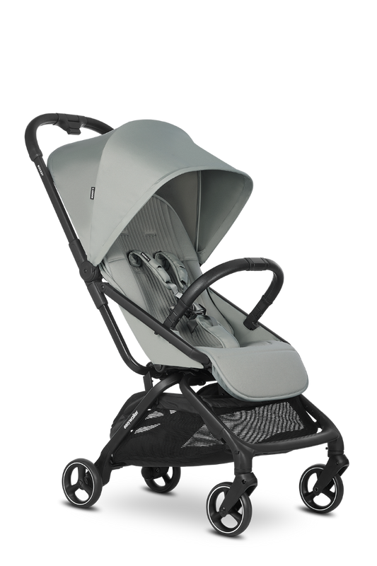https://www.vanastenbabysuperstore.nl/media/catalog/product/1/6/1691110112_1_buggy_easywalker_rockey_s_fresh_green.png