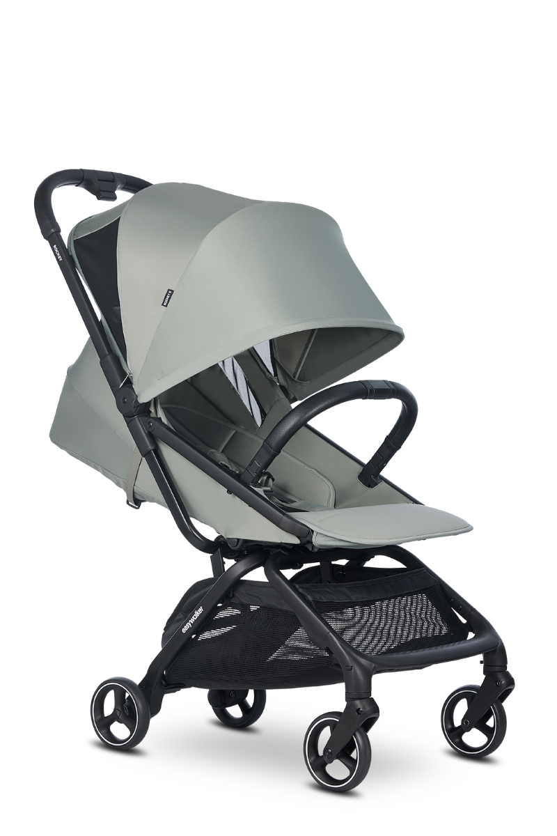 https://www.vanastenbabysuperstore.nl/media/catalog/product/1/6/1691110112_2_buggy_easywalker_rockey_s_fresh_green.png
