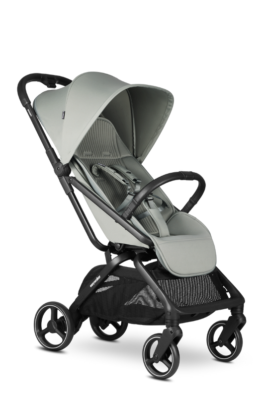 https://www.vanastenbabysuperstore.nl/media/catalog/product/1/6/1691110116_1_buggy_easywalker_rockey_m_fresh_green.png