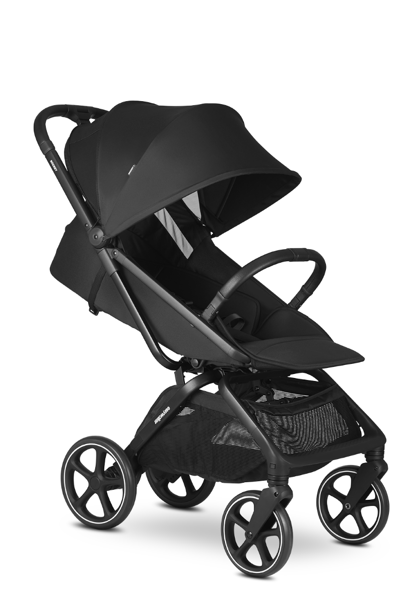 https://www.vanastenbabysuperstore.nl/media/catalog/product/1/6/1691110117_2_buggy_easywalker_rockey_l_pure_black.png