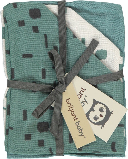 https://www.vanastenbabysuperstore.nl/media/catalog/product/1/8/1852110005_1_washandjes_briljant_baby_hydrofiel_art_artic_3st.jpg