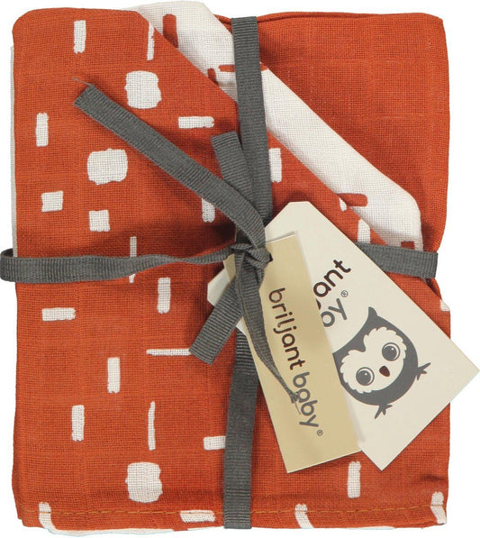 https://www.vanastenbabysuperstore.nl/media/catalog/product/1/8/1852110008_1_washandjes_briljant_baby_hydrofiel_art_picante_3st.jpg