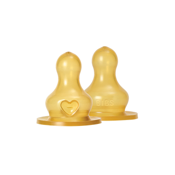 Flessenspeen Bibs Slow Flow 2 stuks