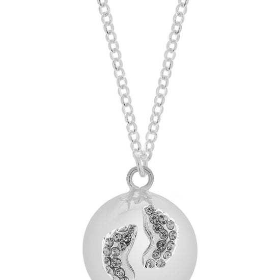 https://www.vanastenbabysuperstore.nl/media/catalog/product/2/5/2552650135_1_zwangerschapsketting_proud_mama_bb_eva_silver.jpg