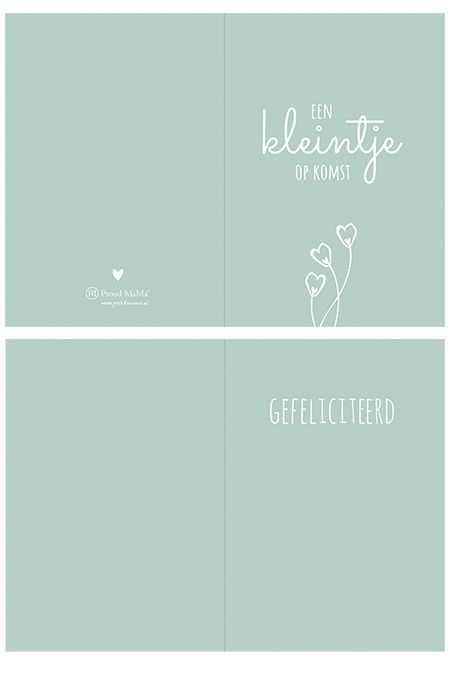 https://www.vanastenbabysuperstore.nl/media/catalog/product/2/5/2553100002_1_wenskaart_proud_mama_kleintje_op_komst.jpg