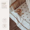 Hoeslaken Co-Sleeper Meyco 50x90 Bear
