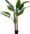 https://www.vanastenbabysuperstore.nl/media/catalog/product/2/6/2652300168_1_plant_woood_bananenplant_2_stam_138cm_373820g.jpg