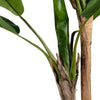 Plant Woood Bananenplant 2 Stam 138cm 373820-G