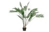 https://www.vanastenbabysuperstore.nl/media/catalog/product/2/6/2652300169_1_plant_woood_palm_groen_110cm_375132g.jpg