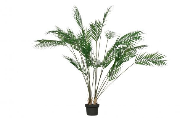 https://www.vanastenbabysuperstore.nl/media/catalog/product/2/6/2652300169_1_plant_woood_palm_groen_110cm_375132g.jpg