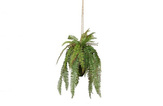 https://www.vanastenbabysuperstore.nl/media/catalog/product/2/6/2652300172_1_plant_woood_varen_hangend_58cm_375139g.jpg