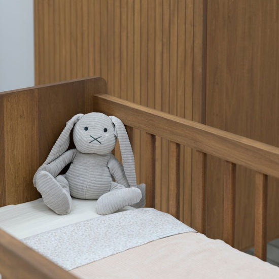 https://www.vanastenbabysuperstore.nl/media/catalog/product/3/5/3571900997_2_deken_ledikant_babys_only_sense_teddy_peach.jpg