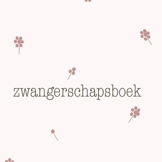 https://www.vanastenbabysuperstore.nl/media/catalog/product/3/7/3742900023_1_zwangerschapsboek_jep_smoke_roze.jpg