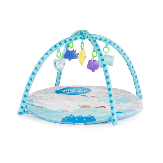https://www.vanastenbabysuperstore.nl/media/catalog/product/3/8/3800931031473_1_speelkleed_chipolino_sheep.jpg