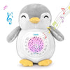 https://www.vanastenbabysuperstore.nl/media/catalog/product/3/8/3800931038939_1_projector_soother_chipolino_penguin.jpg