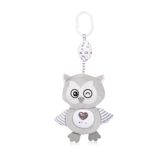 https://www.vanastenbabysuperstore.nl/media/catalog/product/3/8/3800933001320_1_plush_toy_owl_grey_chipolino_1.jpg