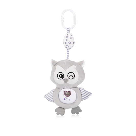 https://www.vanastenbabysuperstore.nl/media/catalog/product/3/8/3800933001320_1_plush_toy_owl_grey_chipolino_1.jpg