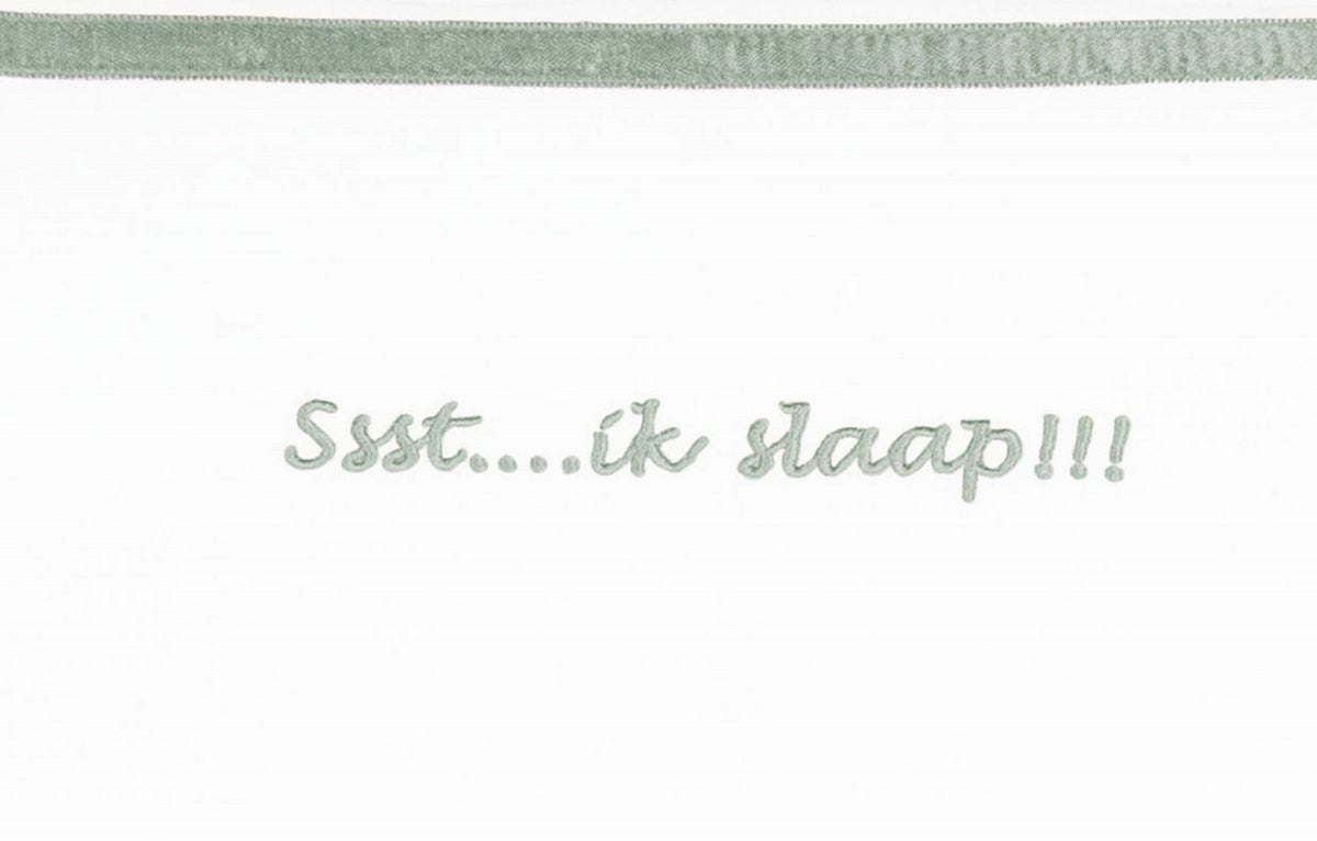 https://www.vanastenbabysuperstore.nl/media/catalog/product/3/8/3851900582_1_laken_wieg_briljant_baby_75x100_ssst_ik_slaap_stone_green.jpg