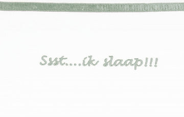 https://www.vanastenbabysuperstore.nl/media/catalog/product/3/8/3851900582_1_laken_wieg_briljant_baby_75x100_ssst_ik_slaap_stone_green.jpg