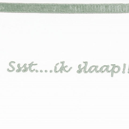 https://www.vanastenbabysuperstore.nl/media/catalog/product/3/8/3851900582_1_laken_wieg_briljant_baby_75x100_ssst_ik_slaap_stone_green.jpg