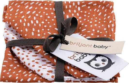 https://www.vanastenbabysuperstore.nl/media/catalog/product/3/8/3852110363_1_briljant_baby_washandjes_hydrofiel_minimal_dots_terra_3st_1768331752.jpg