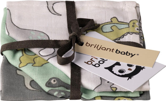 https://www.vanastenbabysuperstore.nl/media/catalog/product/3/8/3852110376_1_briljant_baby_washandjes_hydrofiel_dino_3st_1.jpg