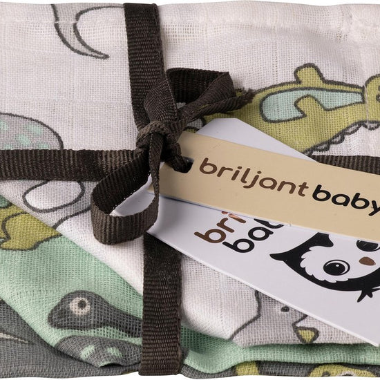 https://www.vanastenbabysuperstore.nl/media/catalog/product/3/8/3852110376_1_briljant_baby_washandjes_hydrofiel_dino_3st_1.jpg