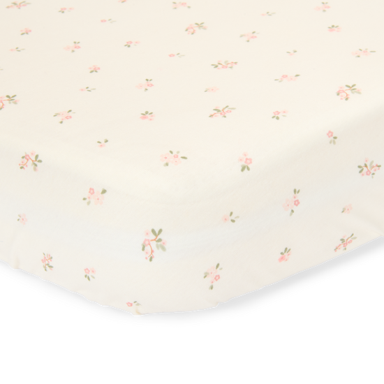 https://www.vanastenbabysuperstore.nl/media/catalog/product/3/8/3891800164_1_hoeslaken_wieg_little_dutch_fairy_blossom.png