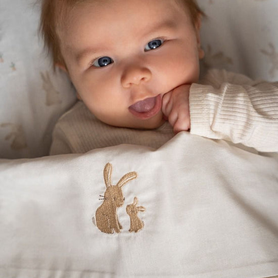 https://www.vanastenbabysuperstore.nl/media/catalog/product/3/8/3891900717_1_laken_ledikant_little_dutch_geborduurd_baby_bunny.jpg