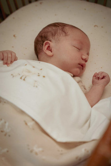 Deken Ledikant Little Dutch Little Goose Fleece