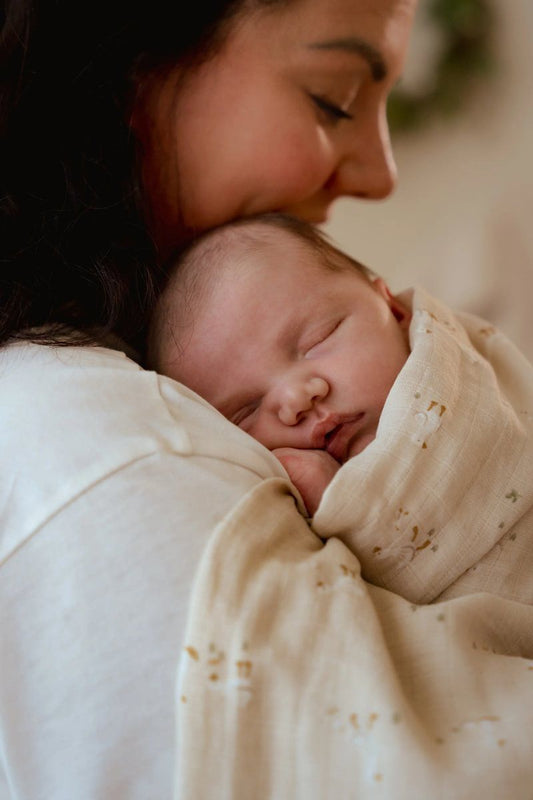 Swaddle Doek Little Dutch Little Goose 120x120