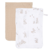 https://www.vanastenbabysuperstore.nl/media/catalog/product/3/8/3892110299_1_washandje_little_dutch_baby_bunnybeige_2st.png