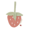 https://www.vanastenbabysuperstore.nl/media/catalog/product/3/8/3892110337_1_speendoekje_little_dutch_hydrofiel_aardbei.png