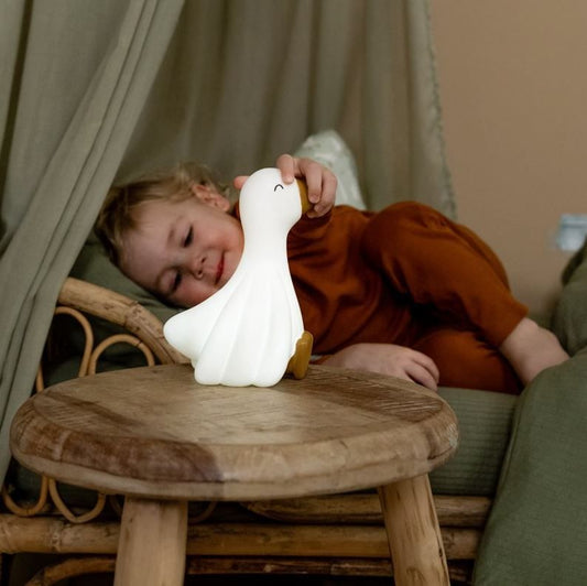 Nachtlampje Little Dutch Little Goose