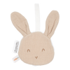 https://www.vanastenbabysuperstore.nl/media/catalog/product/3/8/3892400137_1_knuffeldoekje_little_dutch_hydrofiel_konijn_beige.png
