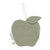 https://www.vanastenbabysuperstore.nl/media/catalog/product/3/8/3892400139_1_speendoekje_little_dutch_little_farm_hydrofiel_appel_olive.png