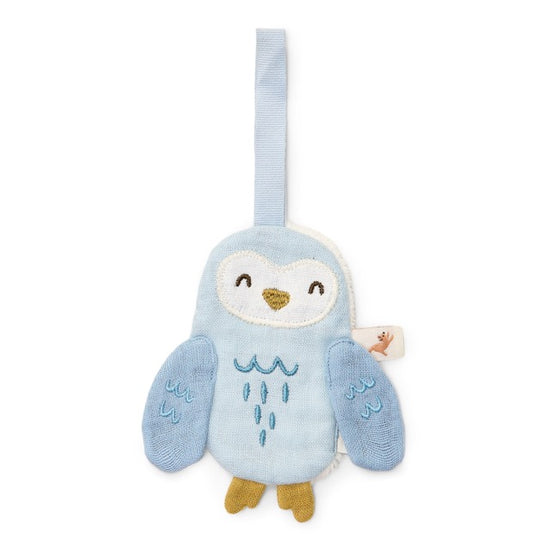 https://www.vanastenbabysuperstore.nl/media/catalog/product/3/8/3892400143_1_Speendoekje_Little_Dutch_Hydrofiel_Uil_normaal_1.jpeg