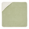 Badcape Little Dutch Blueberry Leaves 75x75